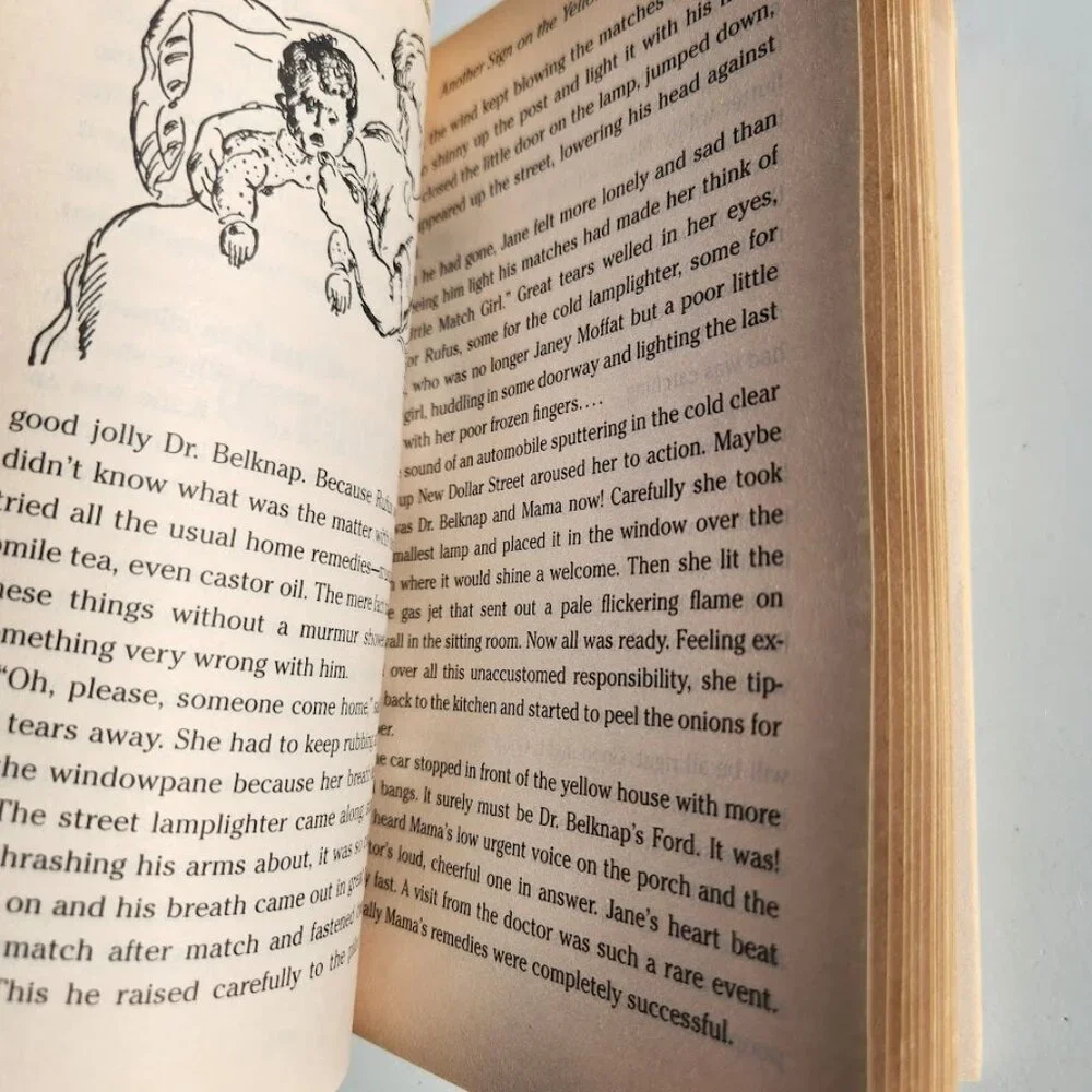 The Moffats By Eleanor Estes Book Paperback Chapter Books Young Adult Literature